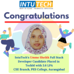 IntuTech Full Stack Developer